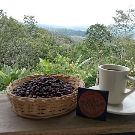 Hotel Green Mountain 图里亚尔瓦 外观 照片