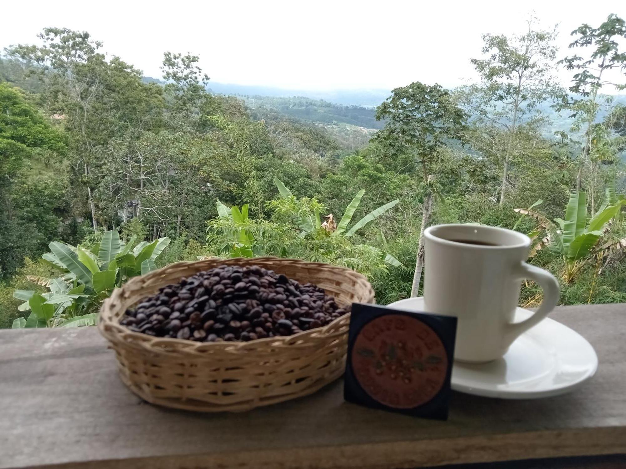 Hotel Green Mountain 图里亚尔瓦 外观 照片