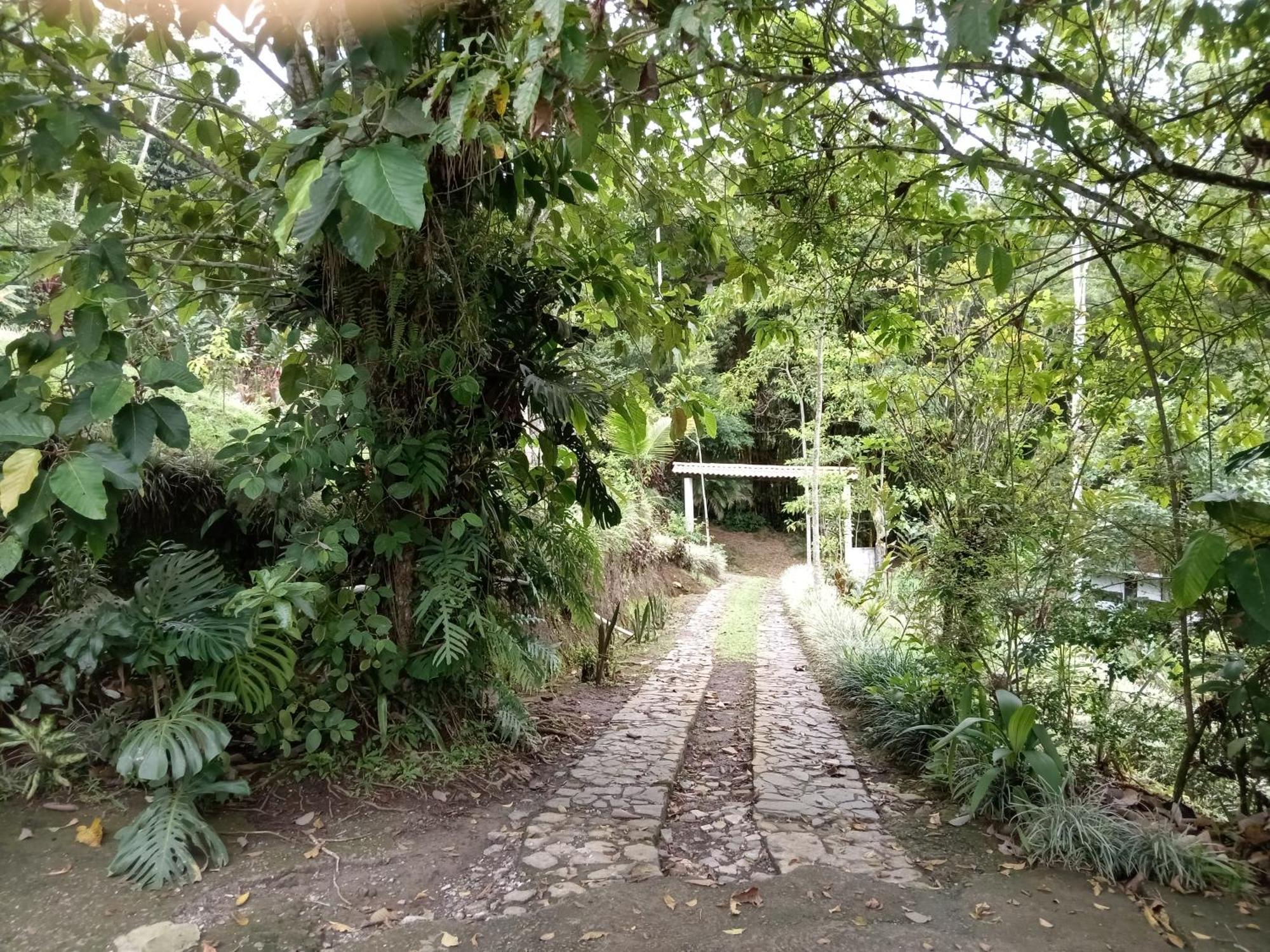 Hotel Green Mountain 图里亚尔瓦 外观 照片